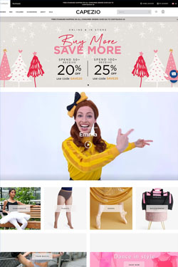 Hosting Company Layout Preview